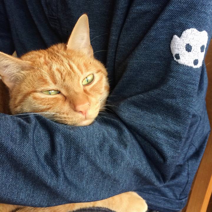 B93bc9a2 d267 4e67 9ed1 fda6c5c3913a 1511653150119