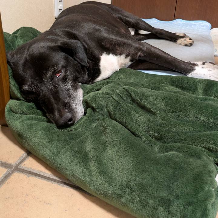 B93bf9b5 f13c 44d9 b71f c0091ecf7044 1755783472824