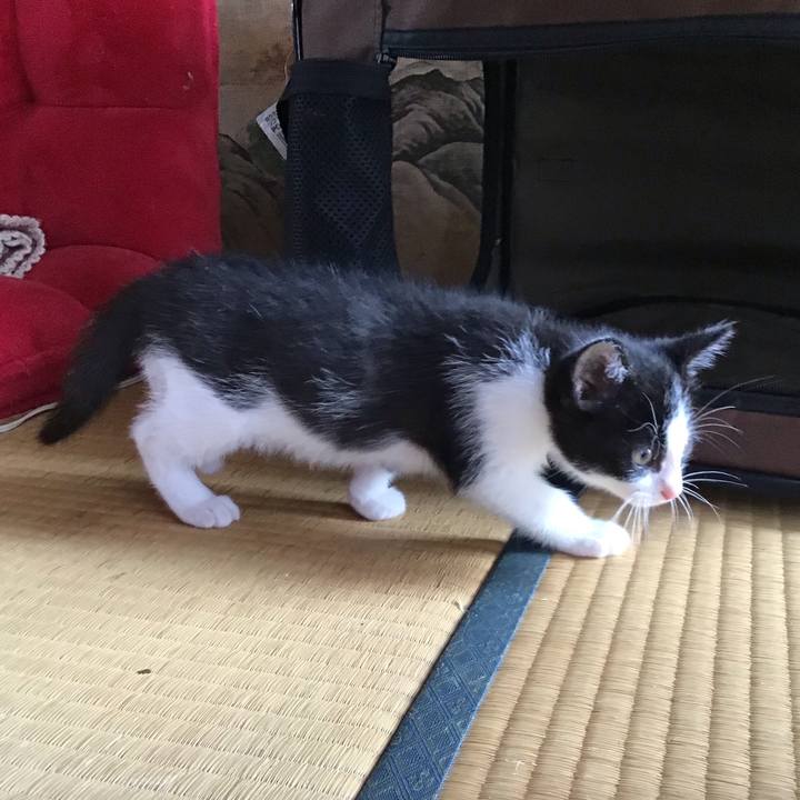 B93bfc53 ad6e 446b 95c5 d00351c8fcd8 1623902001320