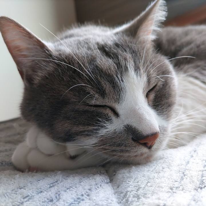 B93c2760 3c51 48a6 a361 343c858f9953 1715651082719