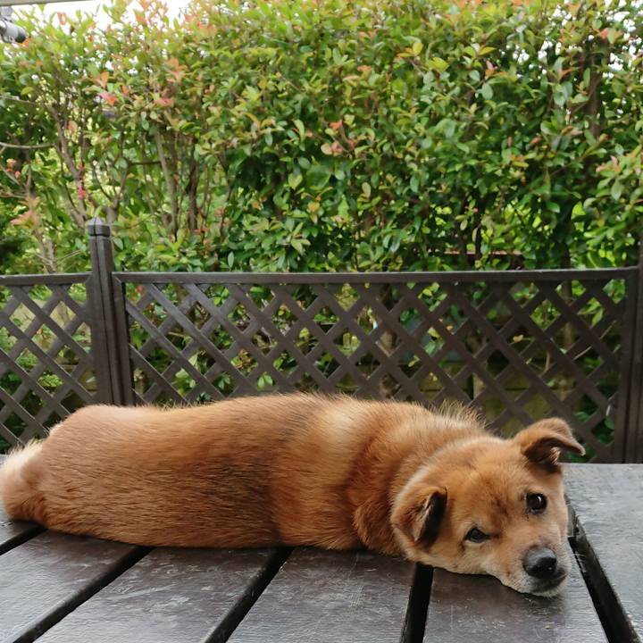 B93c522b ab35 4985 8410 39d810aacd47 1595046924685