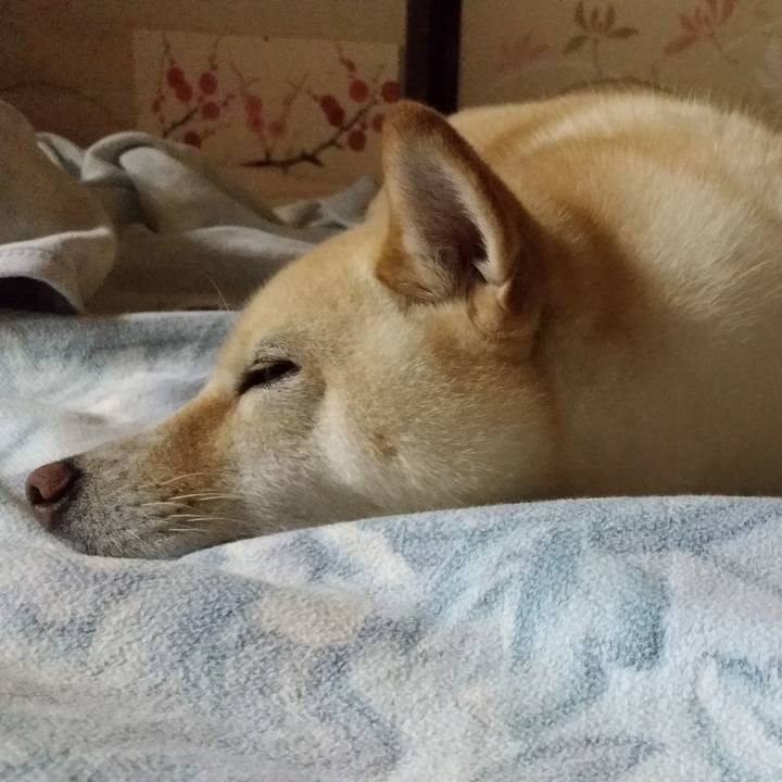 B93c5541 87b7 484e bb79 22af0cb44c1f 1597757396431