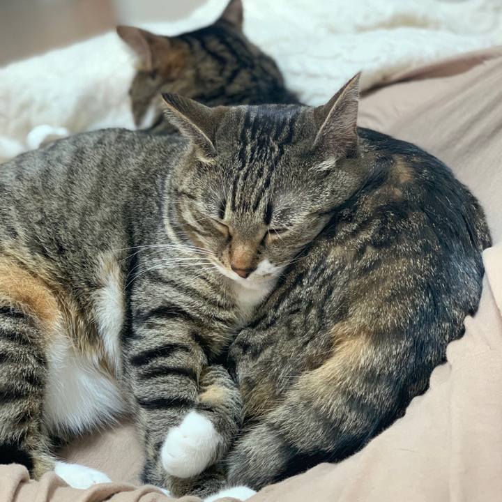 B93c85fe 1c6d 46c1 bc87 e407754cfde6 1605099900689