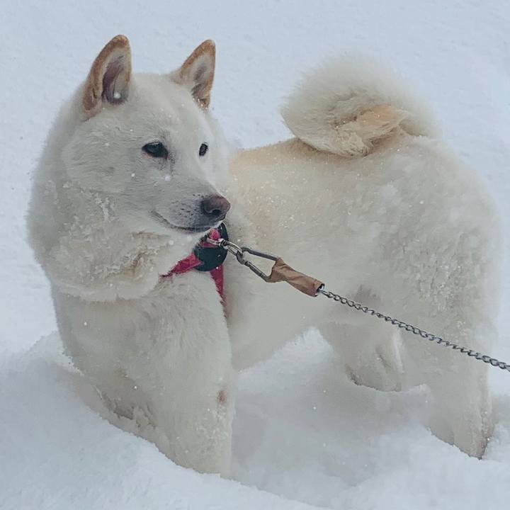 B93c8da1 c252 4a36 bb23 4ea93a271699 1581387064470