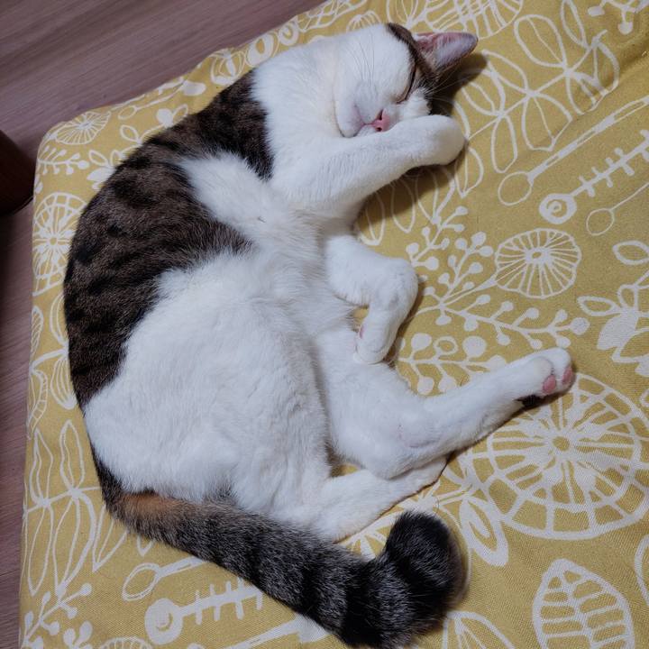 B93cfb96 9fdd 4966 a717 ae2b9f8f37ed 1752495925625