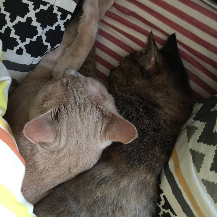 B93d17e7 49c8 4b09 b4cd 5f90125c176e 1572741591795