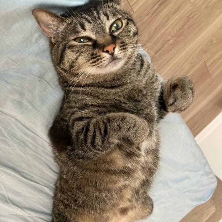 B93d2d15 0850 4001 81a0 f928ad912bfb 1624061089606