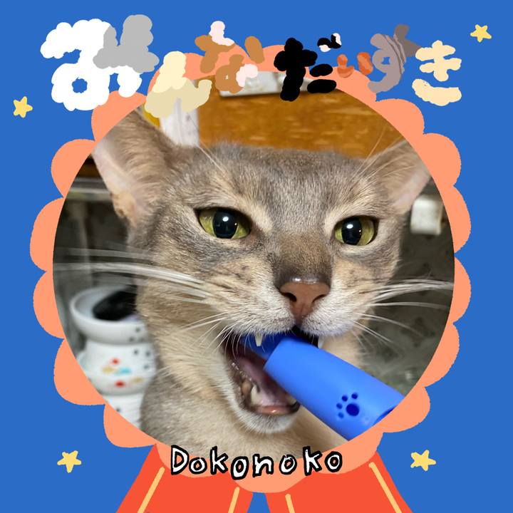 B93d33ed c72f 4425 b303 fe0499f15d1f 1780843910816