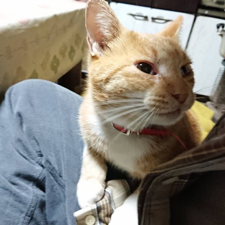 B93d4ab5 b8d4 4ff6 b817 561792e7f832 1571087560350