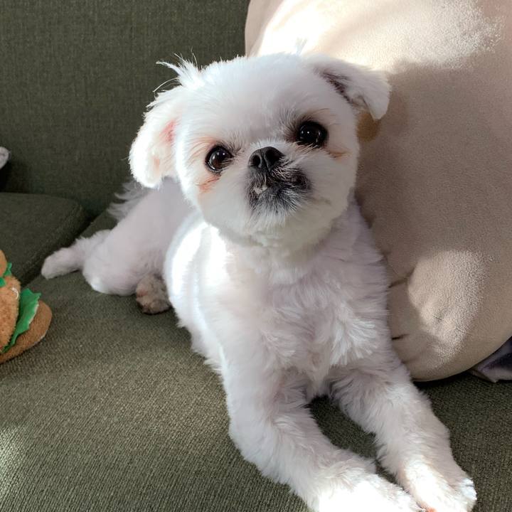 B93d68a2 38b9 47f6 8948 a2a3592e4d67 1675637686362