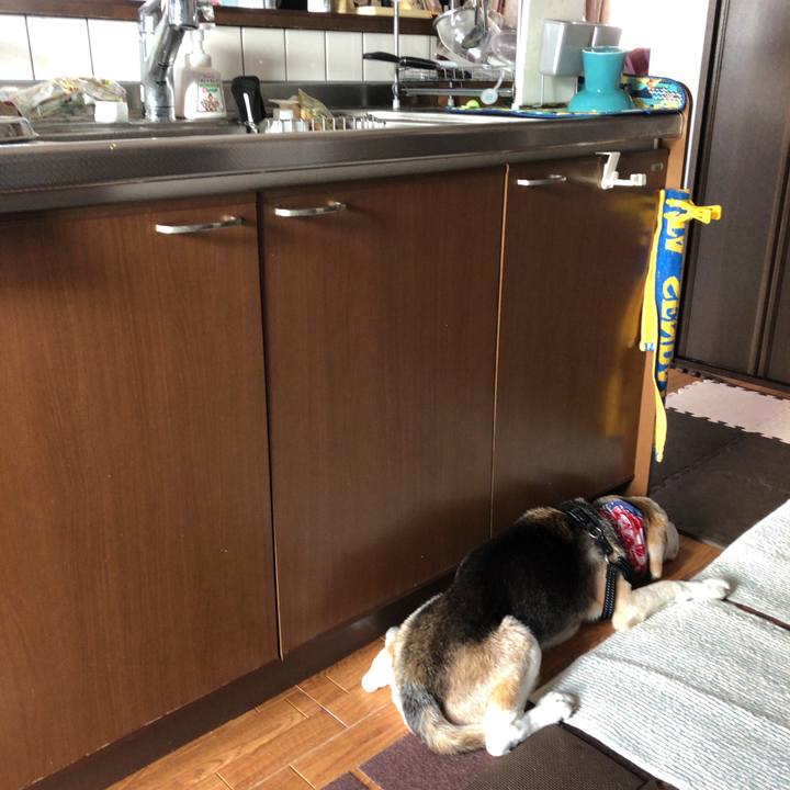 B93d73c1 8cdc 4d32 b990 4b1fdaee425c 1627820441011