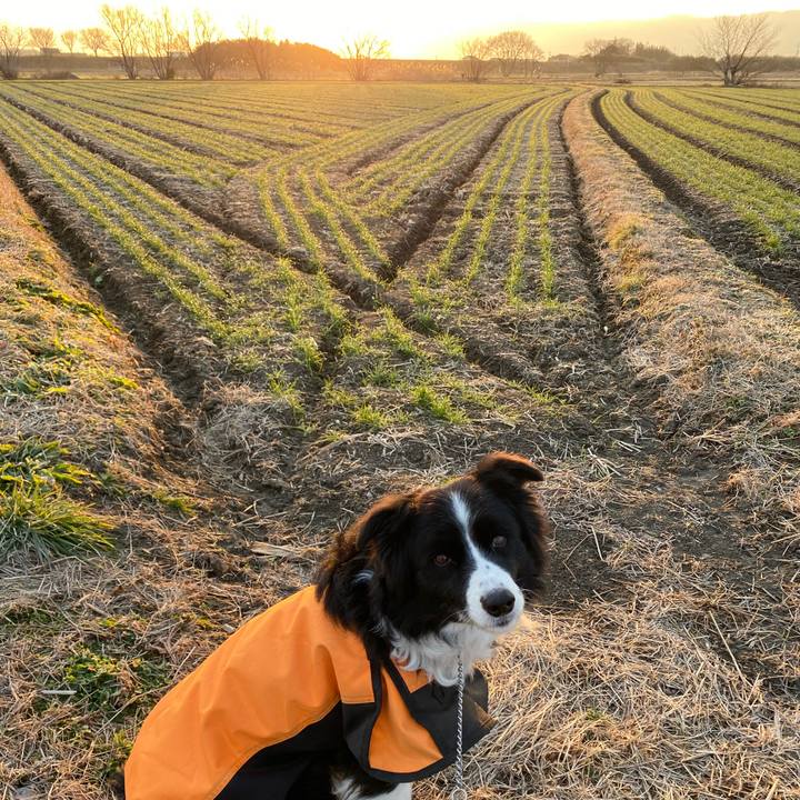 B93d77d4 9497 4c9f a132 8a7a3f6d4174 1611011934400