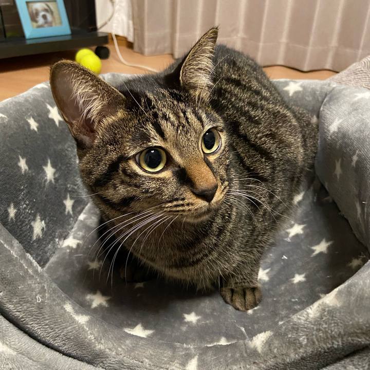 B93d7b8a 0a6a 49b8 84a5 b058eff3e737 1639137707043