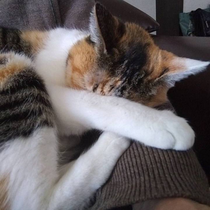 B93dcbdb 9691 4e4b 85e4 e07f6f11eb61 1765593457049