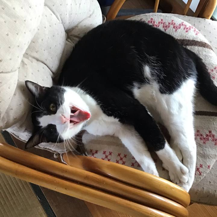 B93dfea8 c8b4 4054 87a6 a9df8dba131d 1689940155216