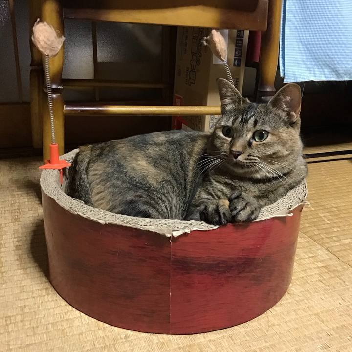 B93e0fff 43d2 4abc b539 452ec4fbc396 1690980310863