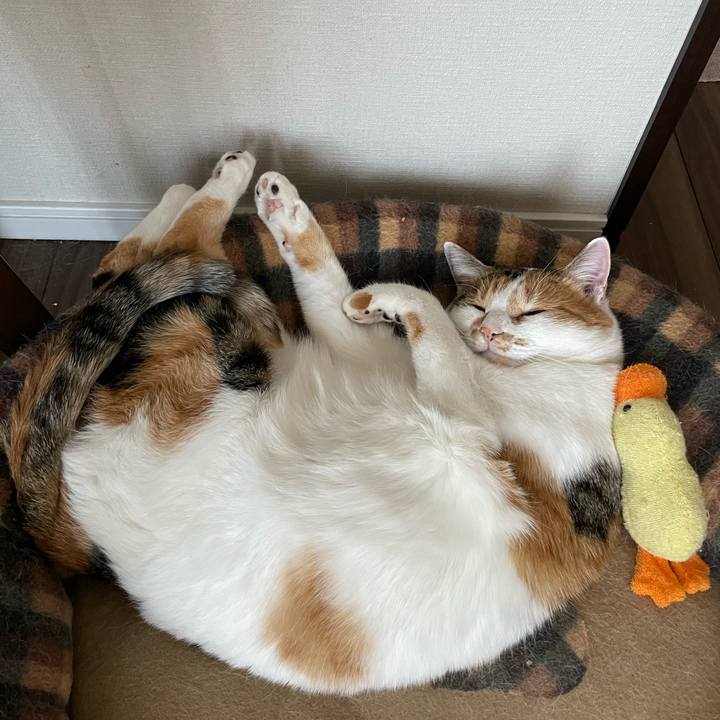 B93e1a8b 4791 470e 8a75 209c82784951 1640913862841