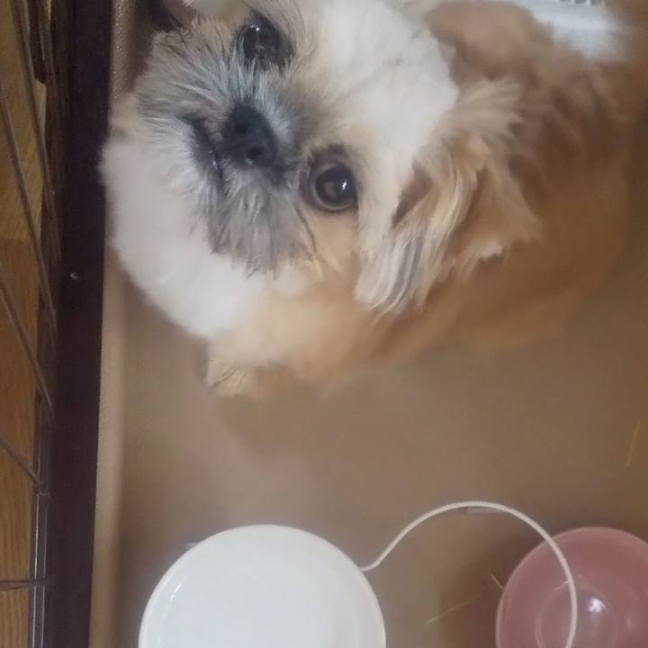 B93e200a 1d23 4c5f 9f2e 0f22084805fb 1694502236559