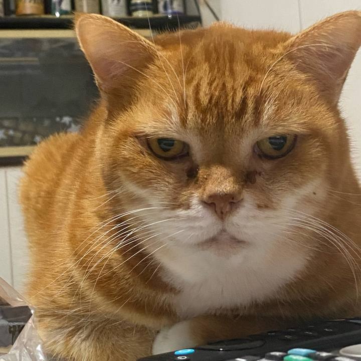 B93e23f1 0006 49d4 982d d1ebe1057b27 1737557370794