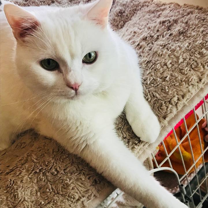 B93e3f89 29eb 4389 97dc b6ba595236af 1518402742255