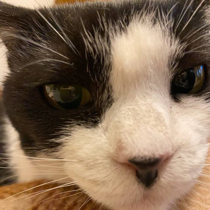 B93e3ffd c166 4cfc bf4f 34feac52c4c6 1763730549939