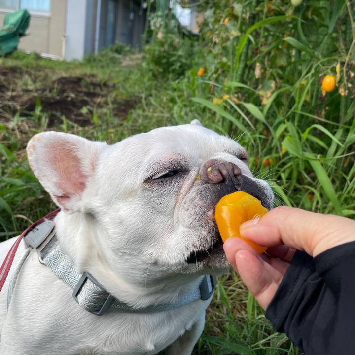 B93e885b 5d8f 4eff 887f 26b55989376b 1752559837473