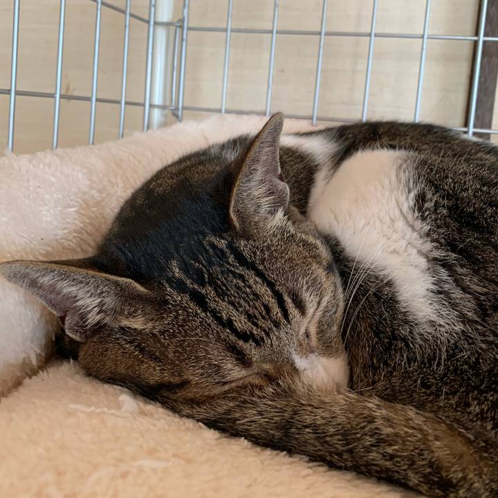 B93eb565 b2b4 429c 8f9d 47330159763a 1580347132927