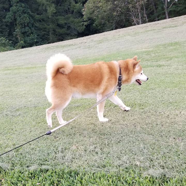 B93ed2d6 d257 4b8e a5f3 cbc2a4754df8 1632467004892