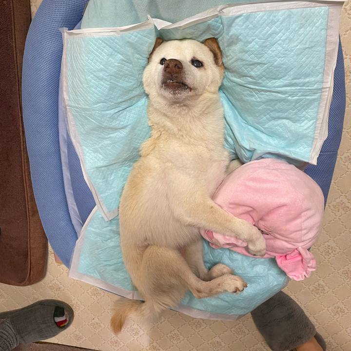 B93ee09b 375a 402e a394 ed3355e35a32 1677927630304