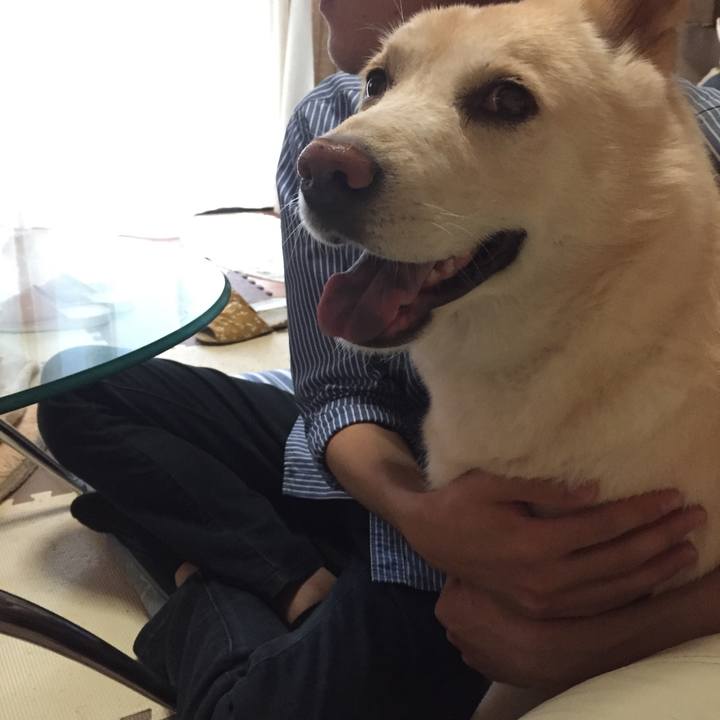 B93eebb5 4267 447c bb41 15e05a742874 1535758568216