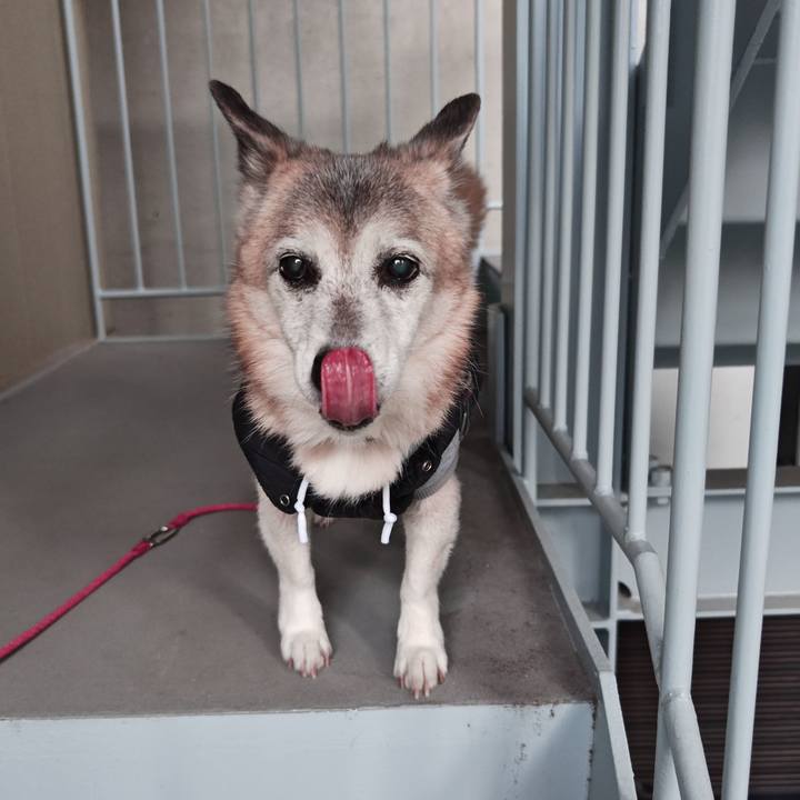 B93f1055 566c 4cb2 b3ef 27c9d1af804f 1766477708926