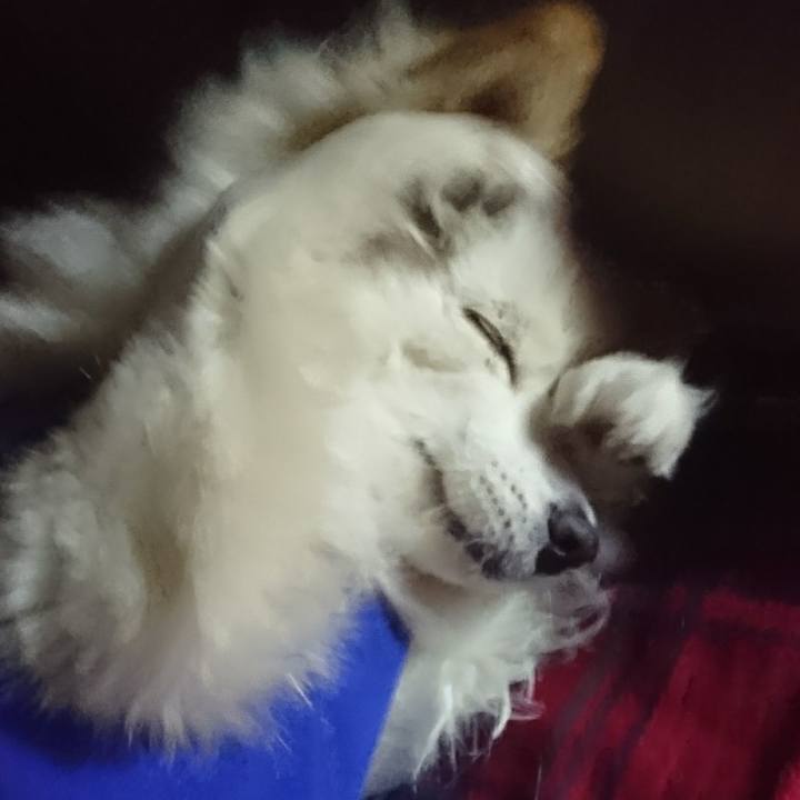 B93f3a50 ad0d 401a 81ce 2fc9c4d6f244 1519138158921