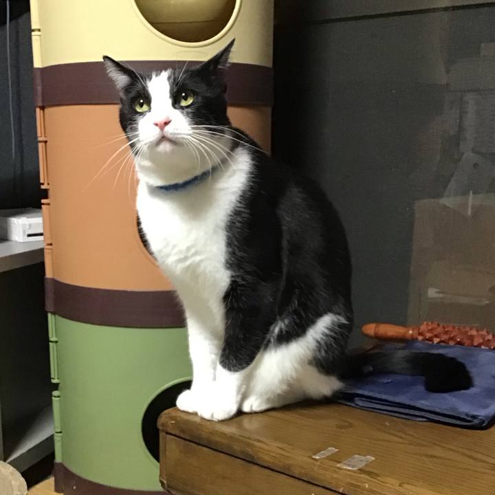 B93fbc89 0c88 4ddf a4ef 91eb0ba72a68 1732264129331