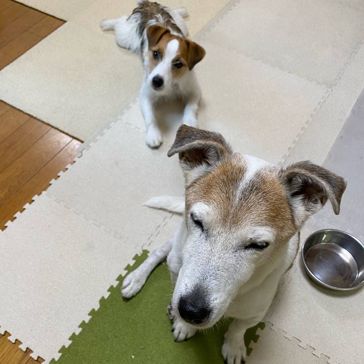 B93fc95b b38e 4ed8 b14b 146ba6e76316 1636324158368