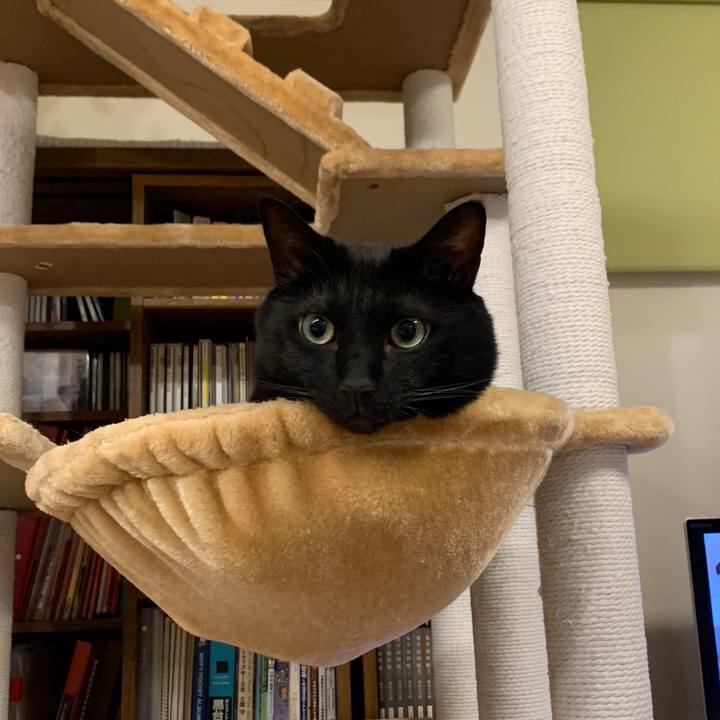 B94089d3 f122 4136 b6c8 3f26a279e08a 1598541531860