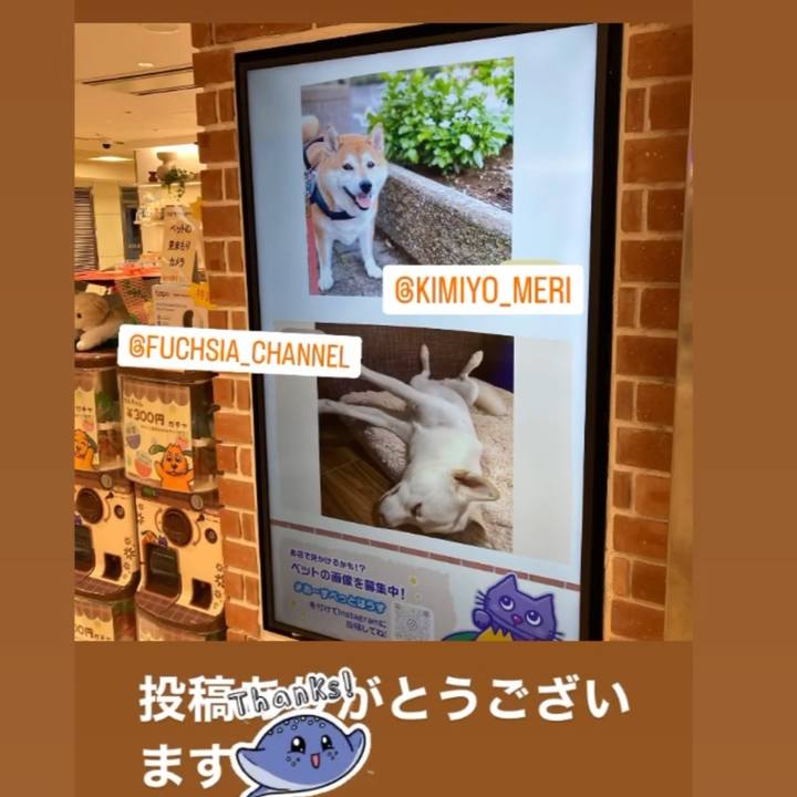 B9409c7d b349 470a 95df 40580cff88ad 1700703839598