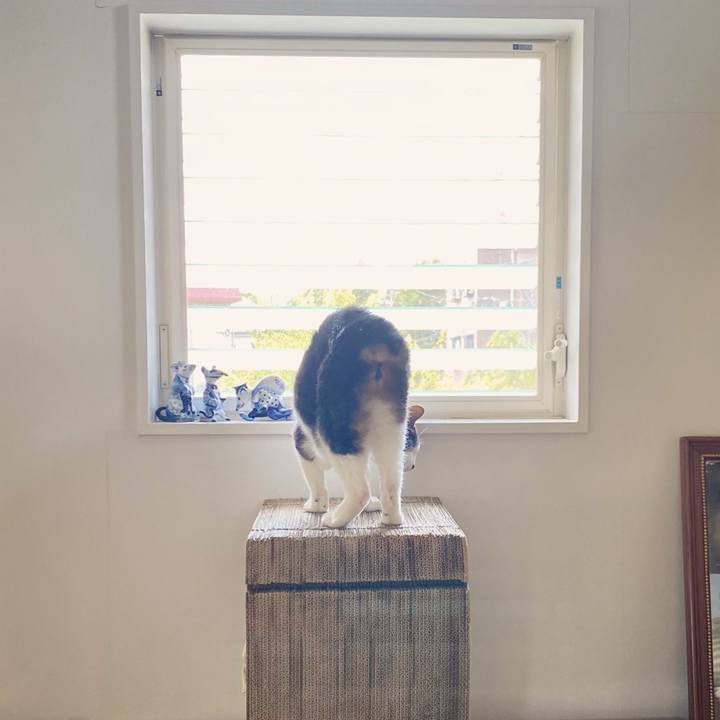 B940b940 8fe0 49c3 9209 1dac3dd4b716 1622513134691