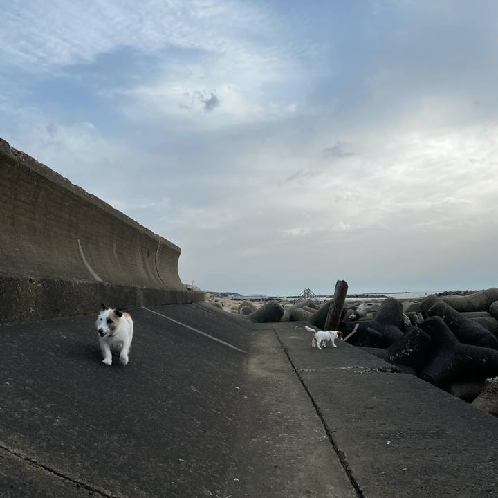 B940cce5 f6a0 4528 8971 33ce7cb68a0d 1621933726205