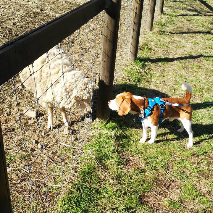 B94112d5 a680 4df8 b807 cb7f6c84d970 1556794406770