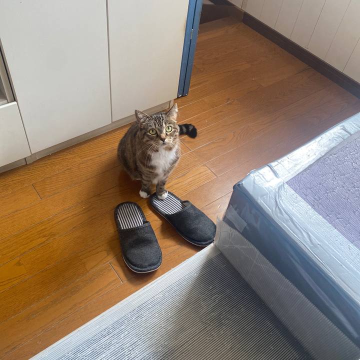 B94114f8 98f3 4992 9fde bc773e6c9bdf 1682730349828