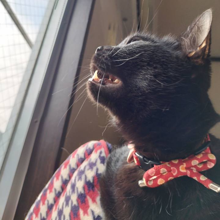 B9411c5a db48 49ff b8ce cd979bbfa551 1657144650341