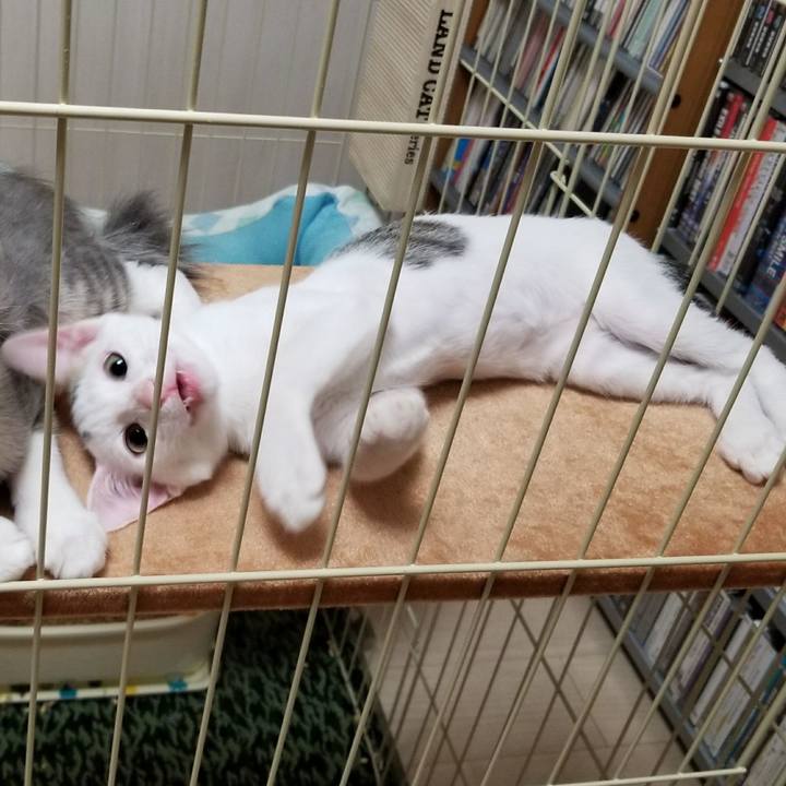 B9412e24 f096 4b3b bff5 273de887db37 1507693252451