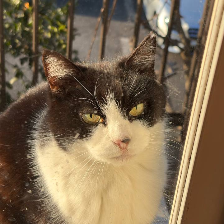 B9413a20 1347 4811 9b58 9db27b48959a 1769656042708