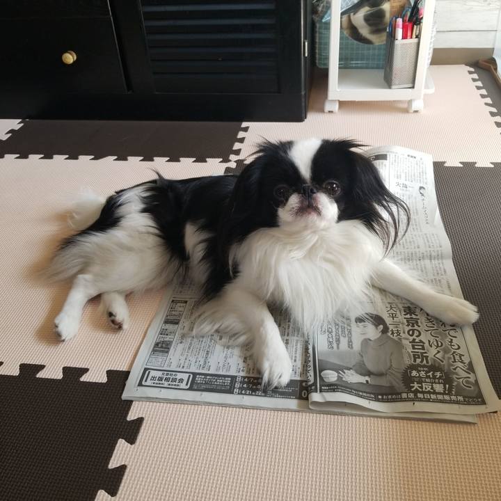 B941441b 894a 495b bda5 b04627336af2 1678767375441