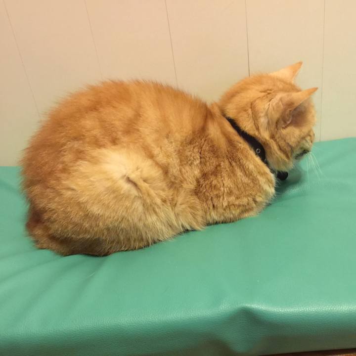 B9414507 9fd6 4dcd be10 fc31ce1db46e 1554044711616