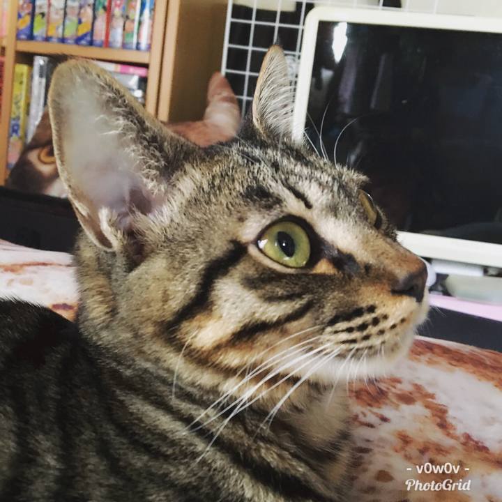 B9415b6f 2758 4732 8f9e b602280f00e4 1543800194755