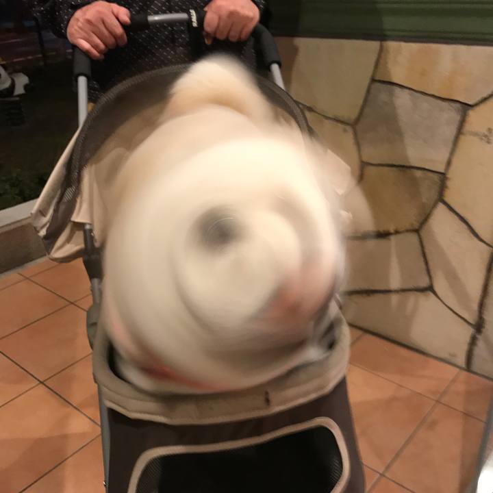 B9415f9a 6d2c 41c9 8a00 c60096b7f658 1524481844784