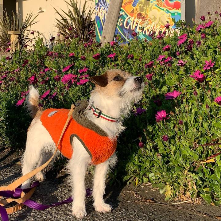 B9417be1 43be 4ad8 bd37 78c0ea18b38d 1774358248675