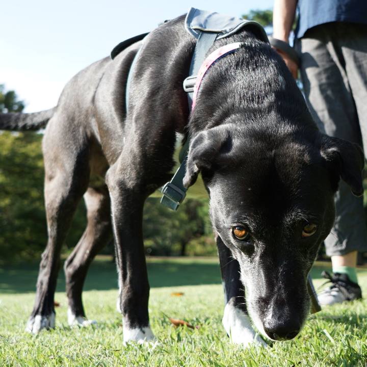 B9417e80 4f64 4143 ac89 3be583e512d4 1759453117956