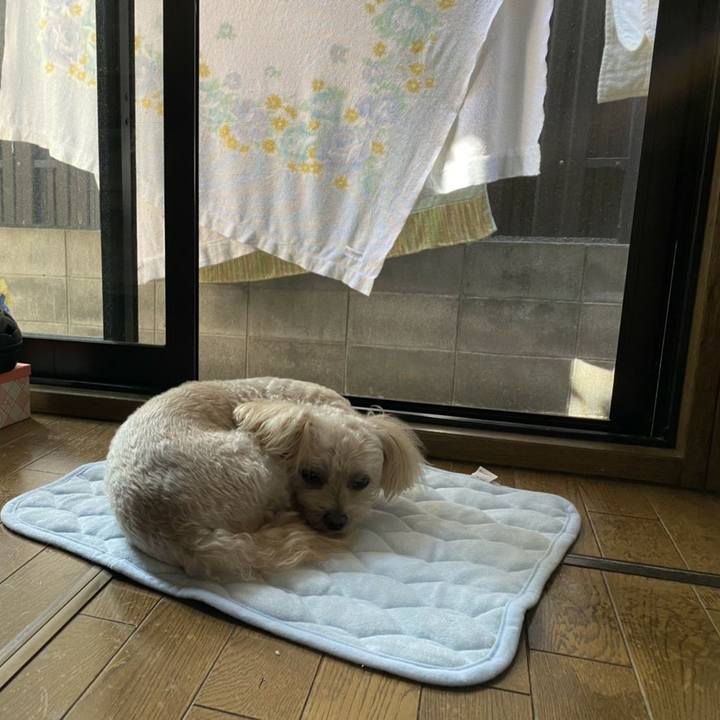 B9419e8c a4ca 431a 8ebf cebf4df9798b 1601651736222